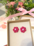 Pink Daisy
